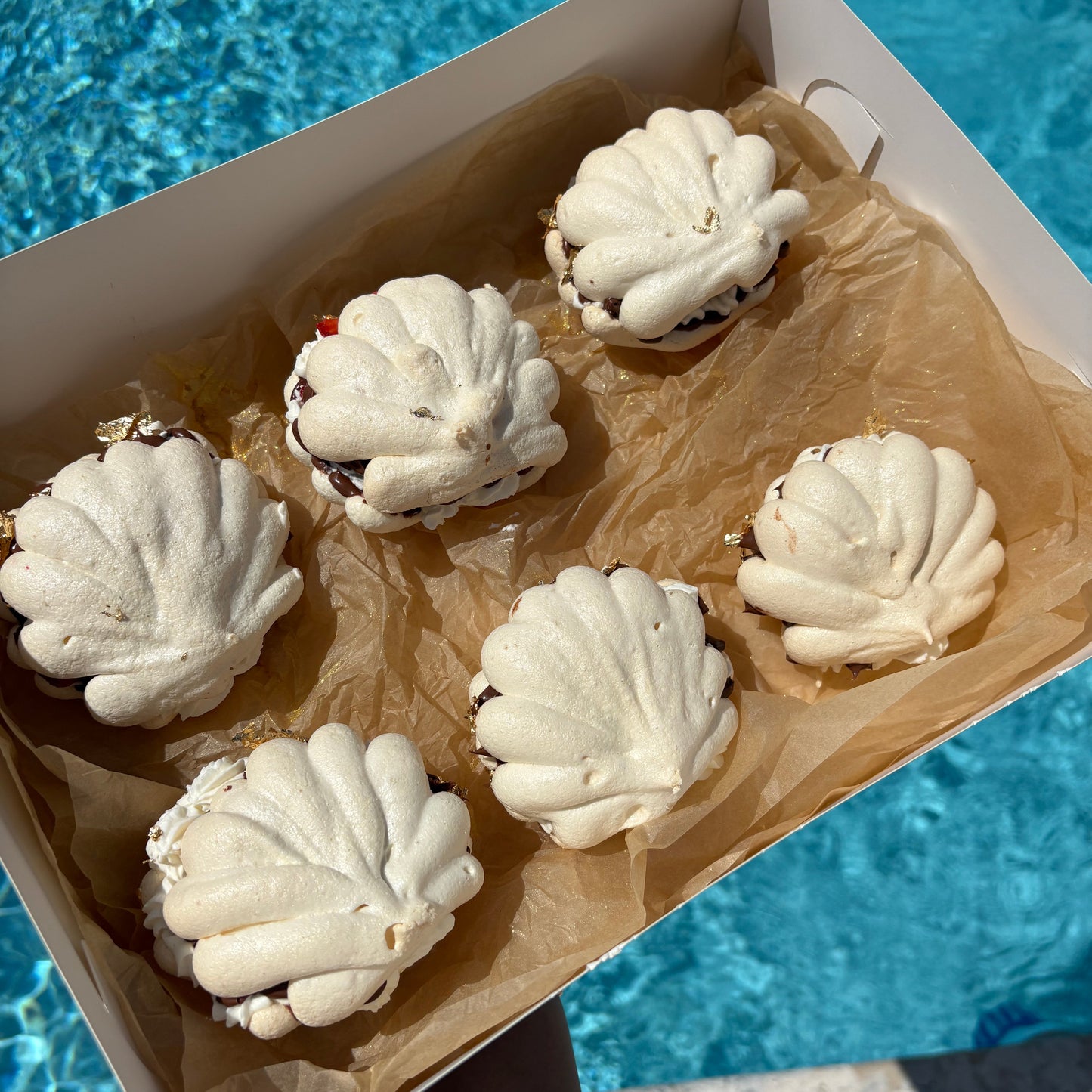 Seashell Pavlovas